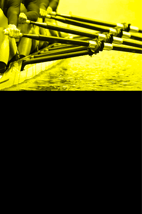 équipage ramant ensemble odis-c